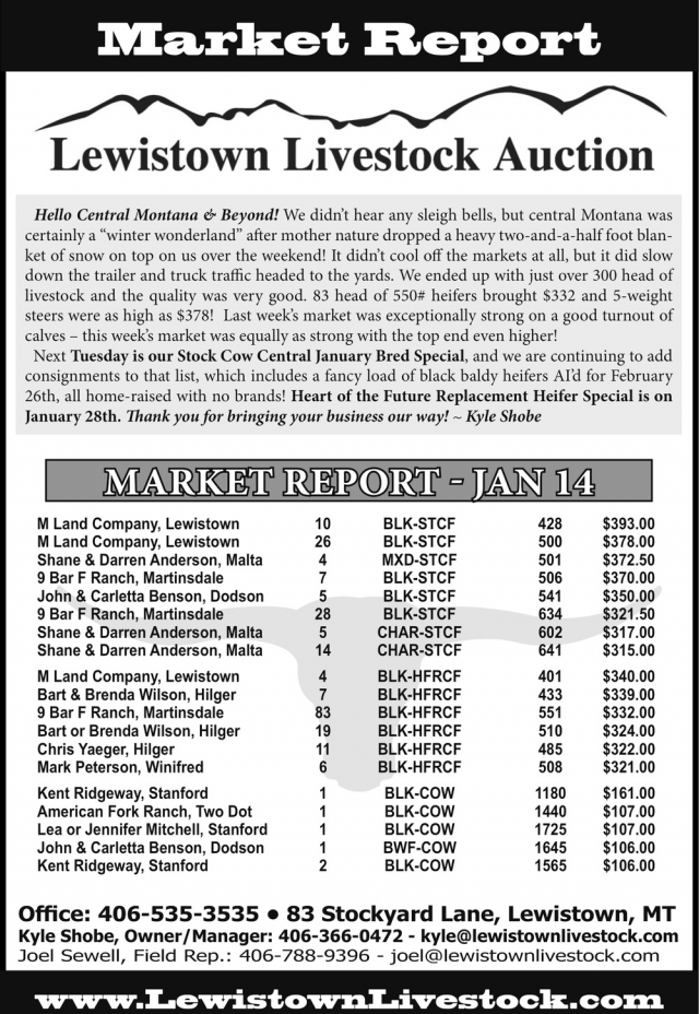 Market Report, Lewistown Livestock Auction, Lewistown, MT