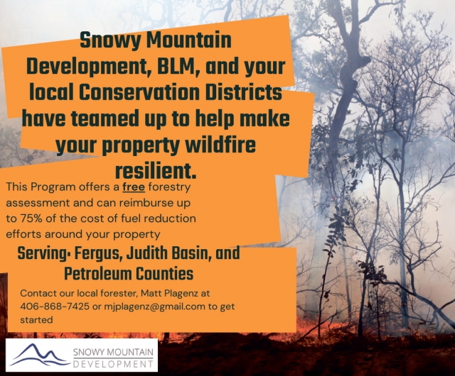 Make Your Property Wildfire Resilient., Snowy Mountain Development