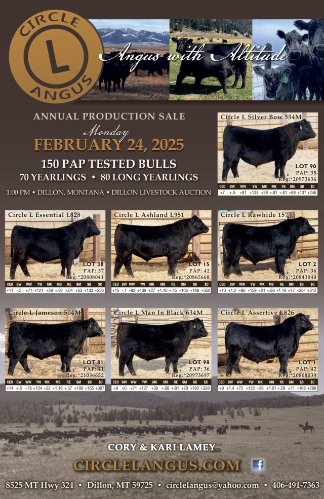 Annual Production Sale, Circle L Angus