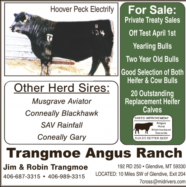 Private Treaty Sales, Trangmoe Angus Ranch