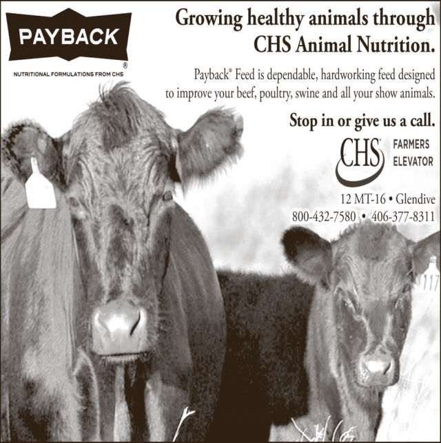 Growing Healthy Animals Through CHS Animal Nutrition, CHS Farmers Elevator, Miles City, MT