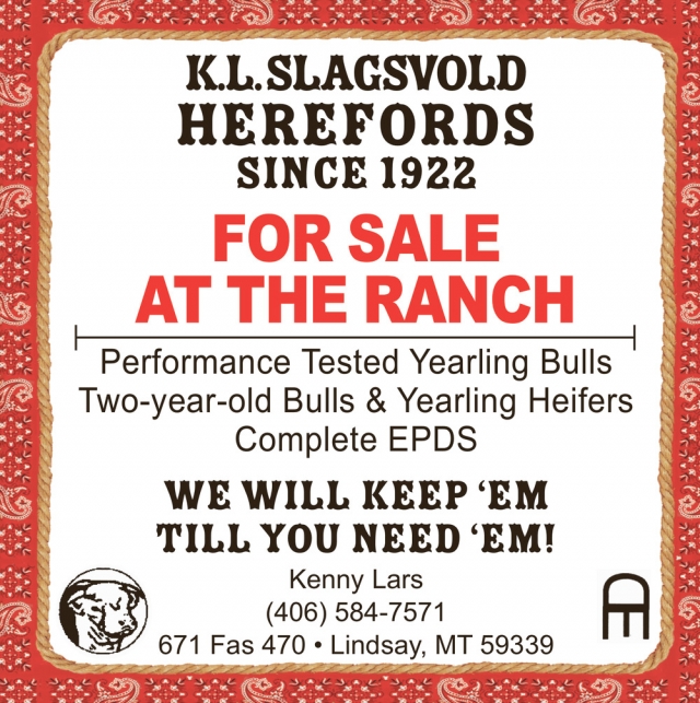 For Sale at The Ranch, K.L. Slagsvold Herefords