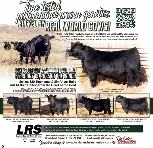 Time Tested. Performance Proven Genetics., Lassle Ranch Simmentals