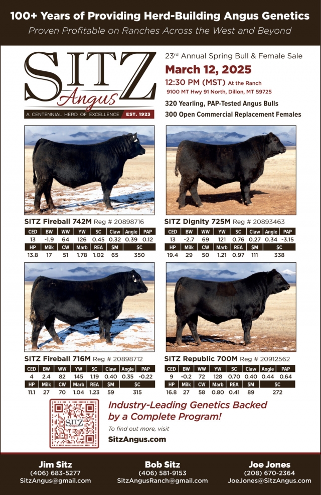 100+ Years of Providing Herd-Building Angus Genetics, Sitz Angus Ranch