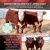 Eastern Montana Genetics a Lasting Legacy