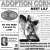 Adoption Corner