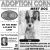 Adoption Corner
