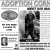 Adoption Corner