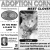 Adoption Corner