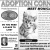 Adoption Corner