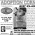 Adoption Corner