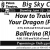 How to Train Your Dragon