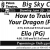 How to Train Your Dragon