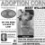 Adoption Corner