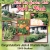 Yard of The Week