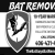 Bat Removal