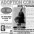 Adoption Corner