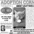 Adoption Corner