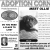 Adoption Corner