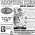 Adoption Corner
