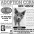 Adoption Corner