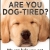 Are You Dog-Tired?