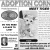 Adoption Corner