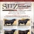 60th Annual Bull Sale