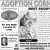 Adoption Corner