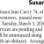 Susan Jane Curry