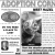 Adoption Corner