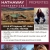 Montana Properties