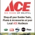 Shop All Your Garden Tools, Plants & Accessories