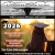 Livestock Auctions