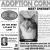 Adoption Corner