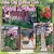 Yard of The Week