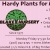 Trees, Shrubs, Perennials