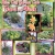 Nominate A Great Yard 