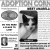 Adorable Kitten Needs Home