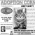 Adopt a Loving Cat Today