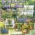 Yard Of The Week Winners