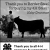 Thank You to Border Steel
