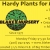 Native Plants, Real Growth 