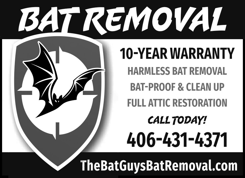 The Bat Guys Bat Removal