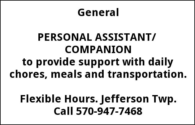 Personnel Assistant/Companion