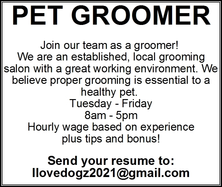 Pet deals grooming jobs