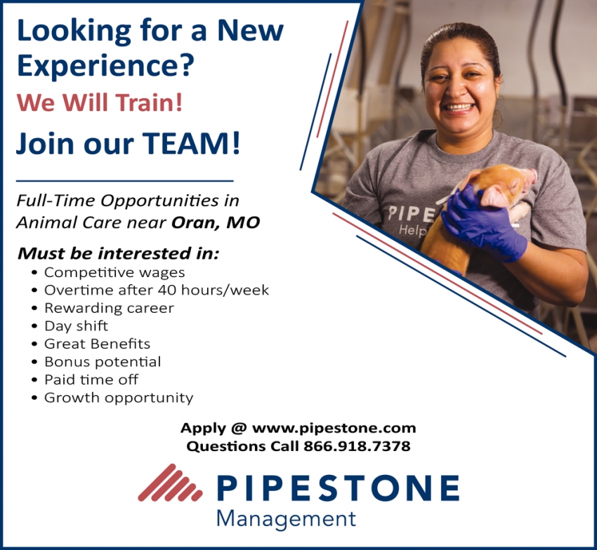 FullTime Opportunities in Animal Care Near Oran, MO, Pipestone Management