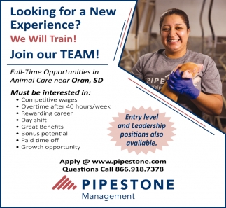 Looking for a New Experience?, Pipestone Systems, Oran, MO