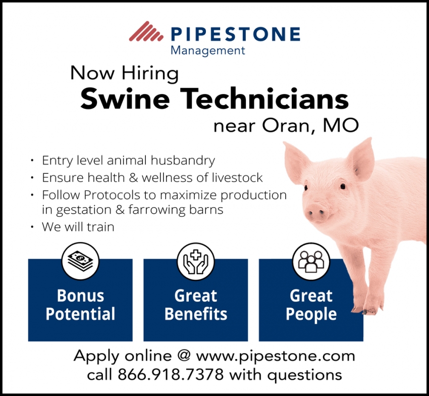Swine Technicians