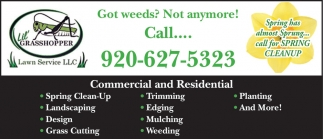 Lil' Grasshopper Lawn Service LLC